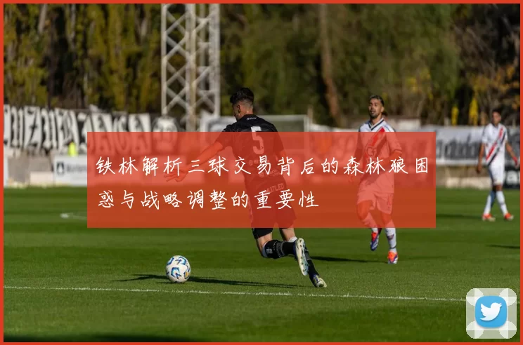 铁林解析三球交易背后的森林狼困惑与战略调整的重要性