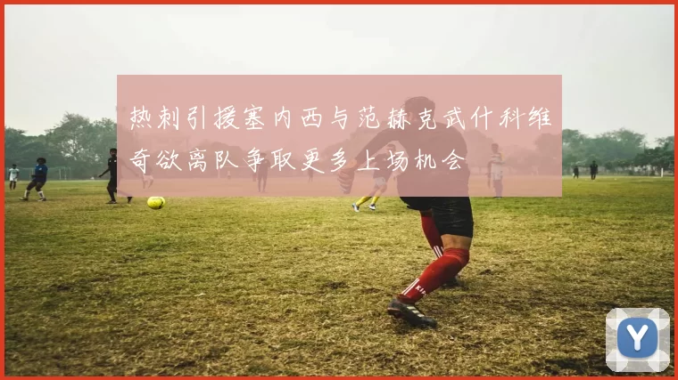 热刺引援塞内西与范赫克武什科维奇欲离队争取更多上场机会